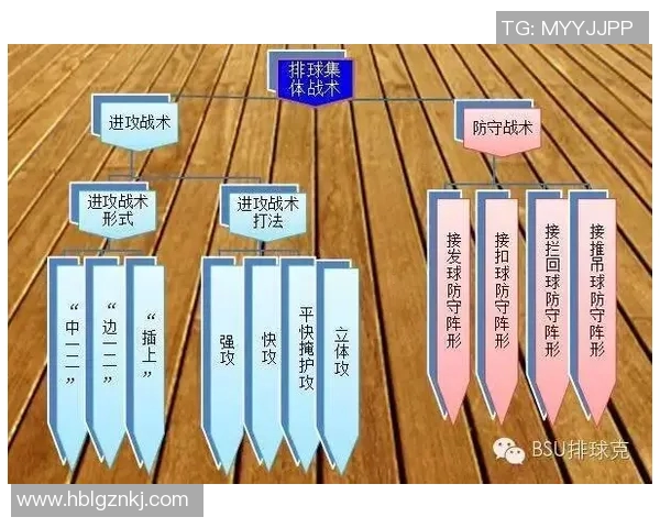 重庆排球队中路突破战术深度分析与实战应用探讨