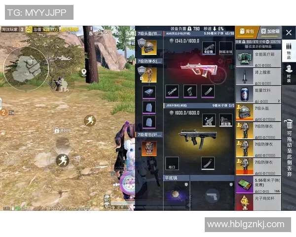 聚焦和平精英：探索WE战队在团队协作中的默契与策略