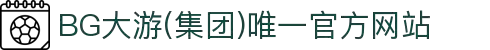 BG大游(集团)唯一官方网站
